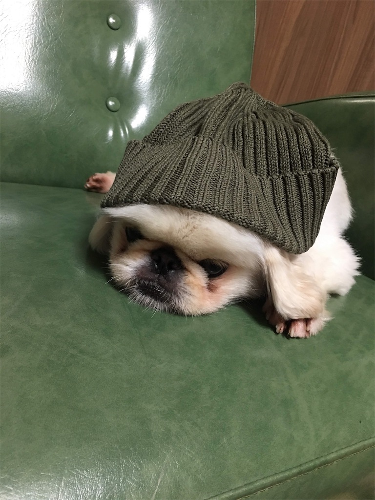 f:id:cocco0209908:20190612190032j:image f:id:cocco0209908:20190612190032j:image