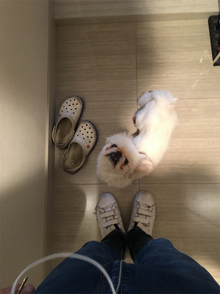 f:id:cocco0209908:20190612195039j:image f:id:cocco0209908:20190612195039j:image