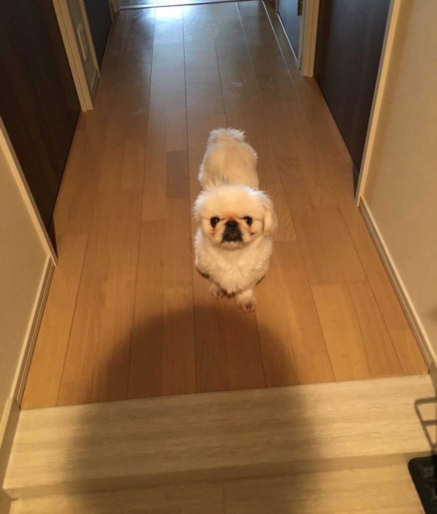 f:id:cocco0209908:20190612195119j:image f:id:cocco0209908:20190612195119j:image