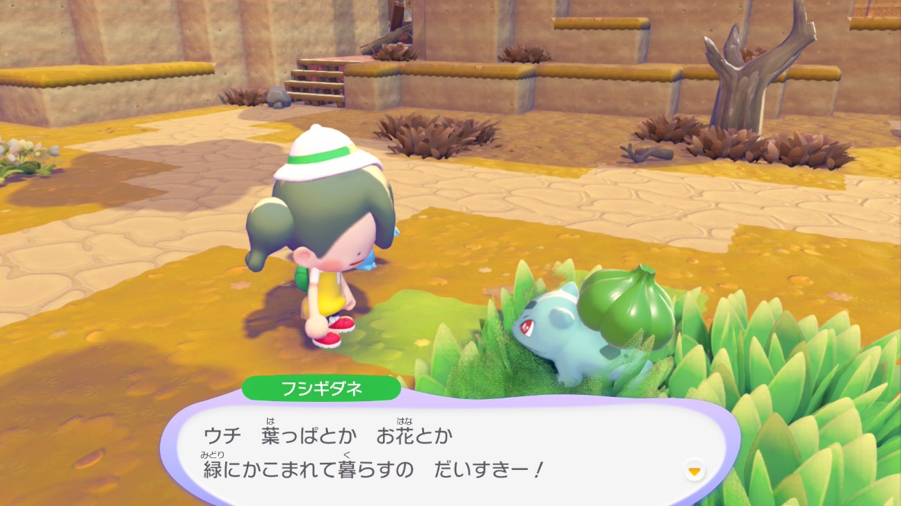 f:id:coccocackling:20260525115946j:image