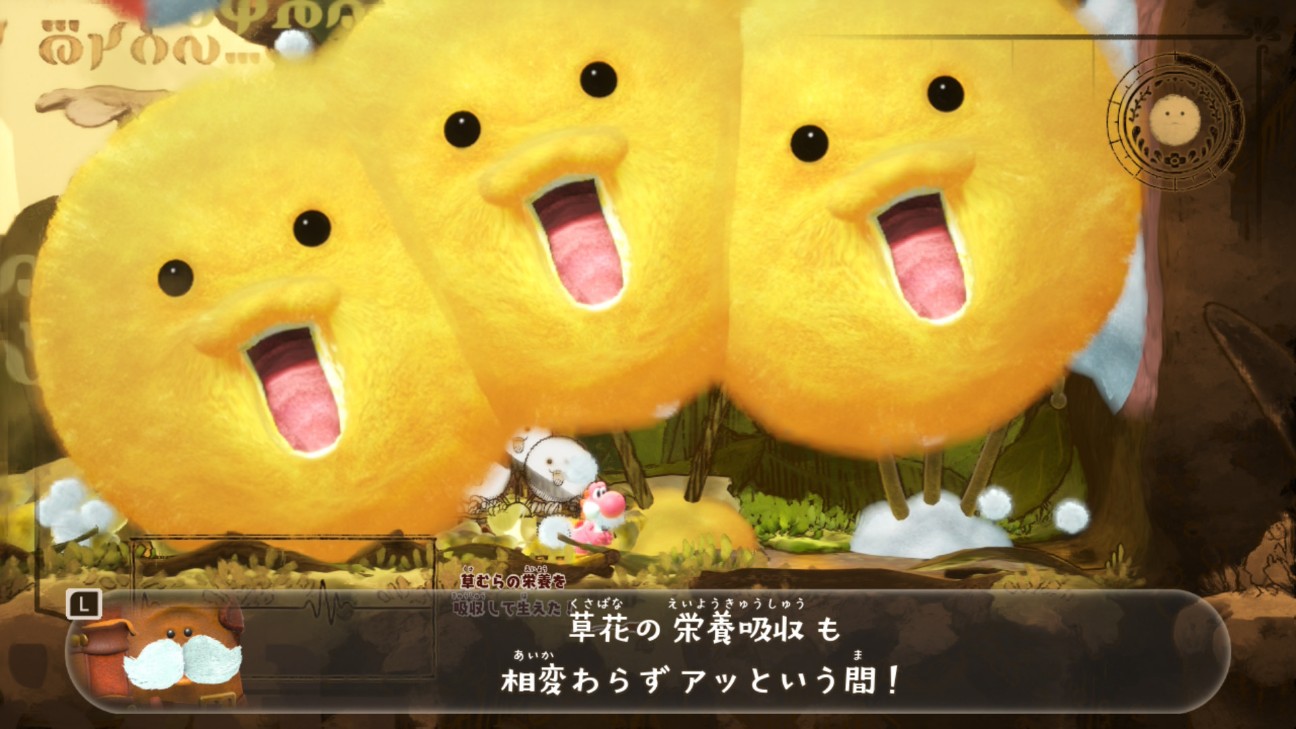 f:id:coccocackling:20260721173640j:image