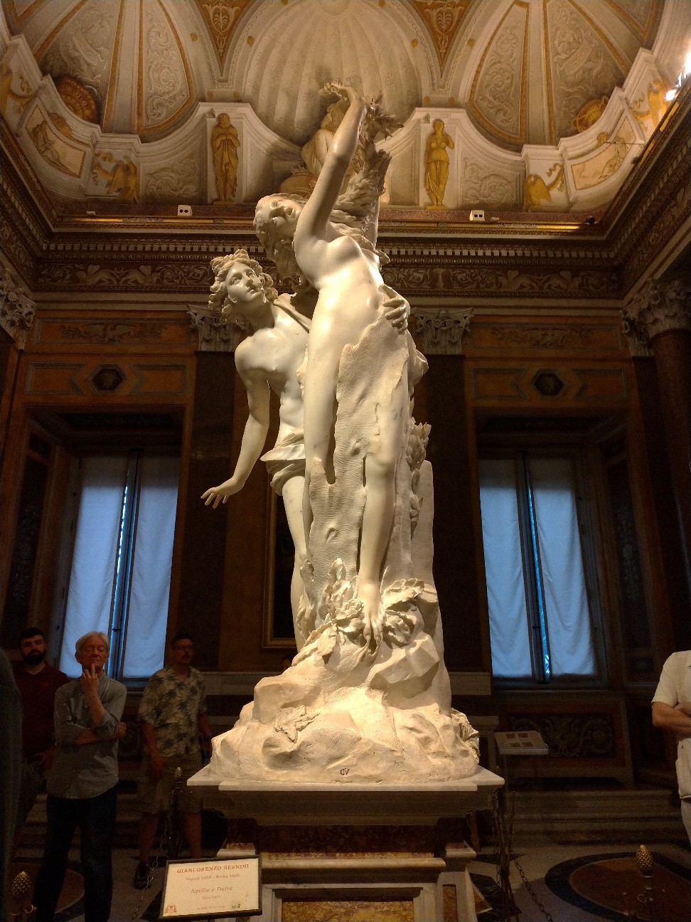 f:id:coccolino:20220508093518j:image