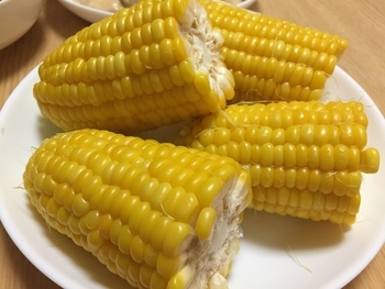 f:id:cochi653:20190620195614j:image f:id:cochi653:20190620195614j:image