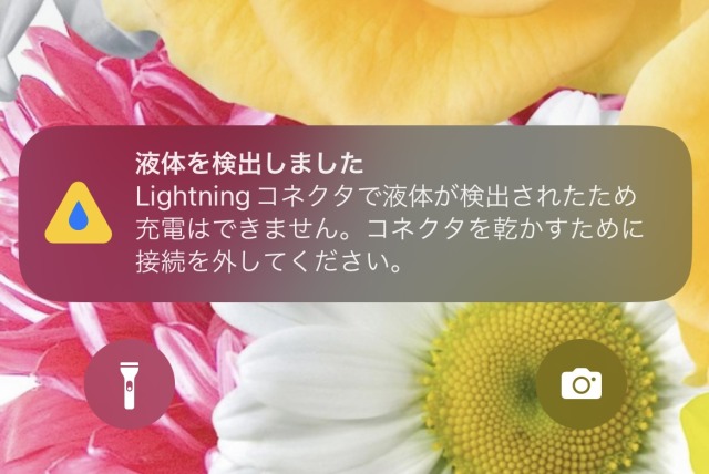 しまちび様確認用③ くど