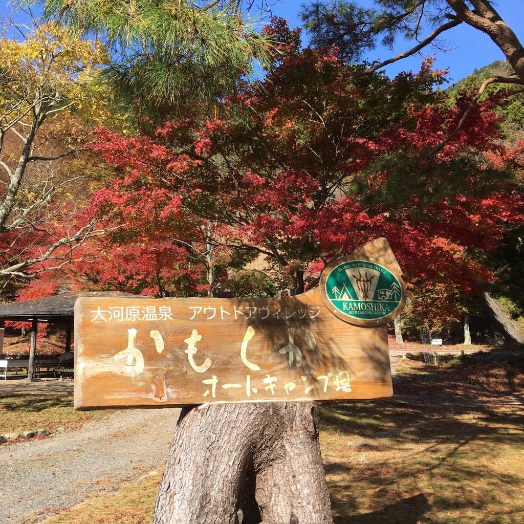 f:id:coco-maru:20181119162311j:plain