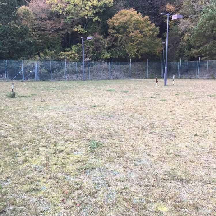 かもしかオートキャンプ場　ドッグラン
