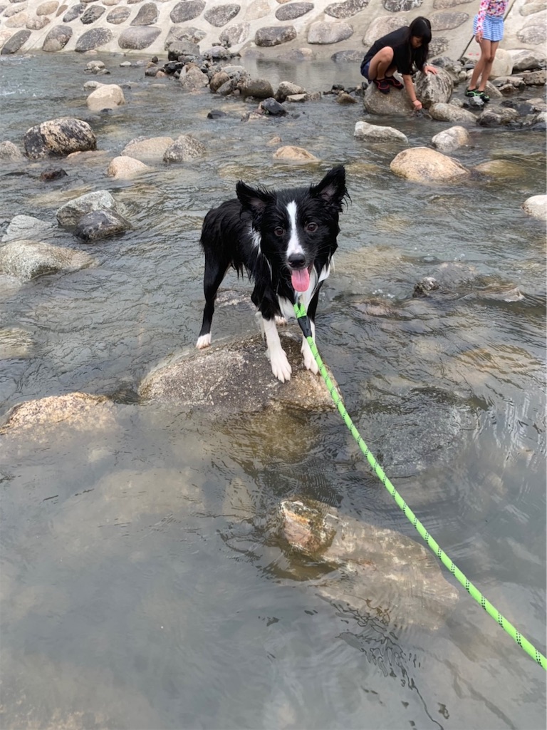 f:id:coco-maru:20190821220023j:image