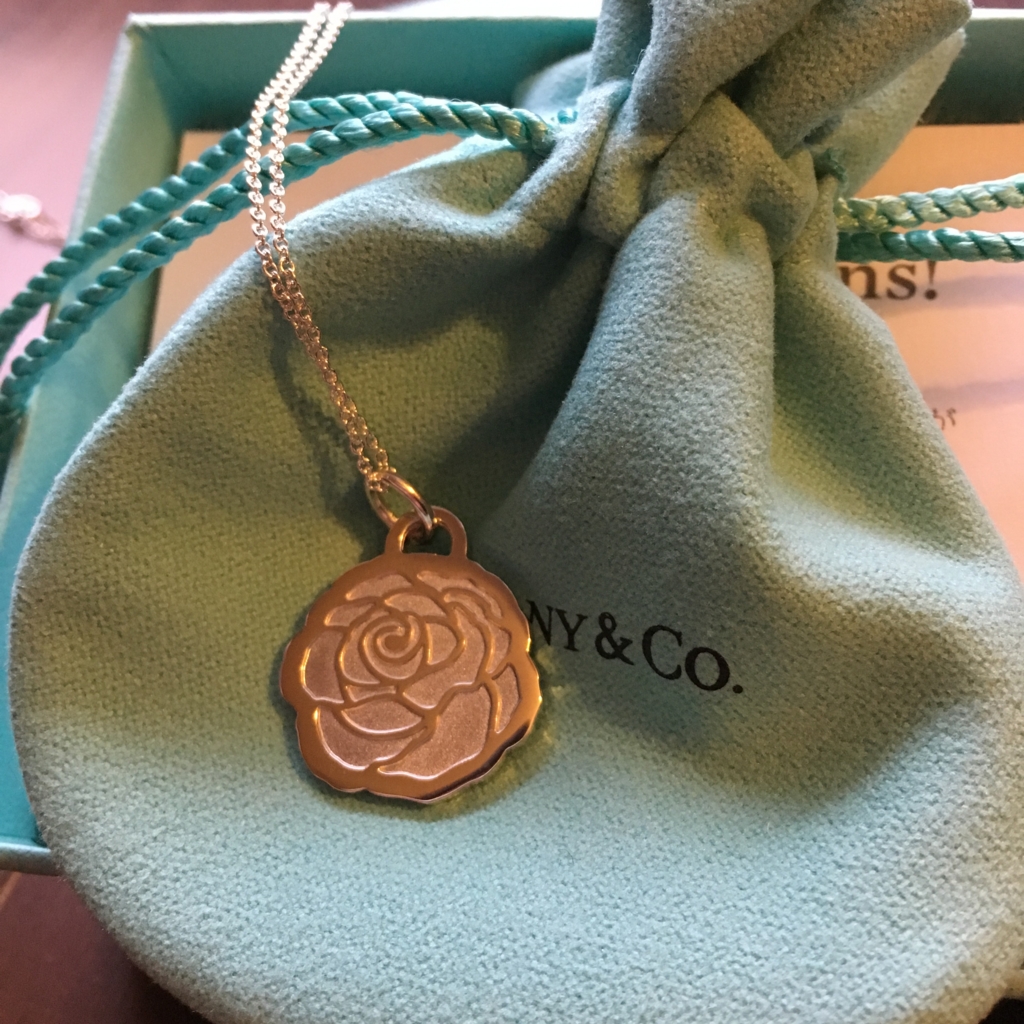 f:id:coco-studies:20170328175214j:plain f:id:coco-studies:20170328175214j:plain