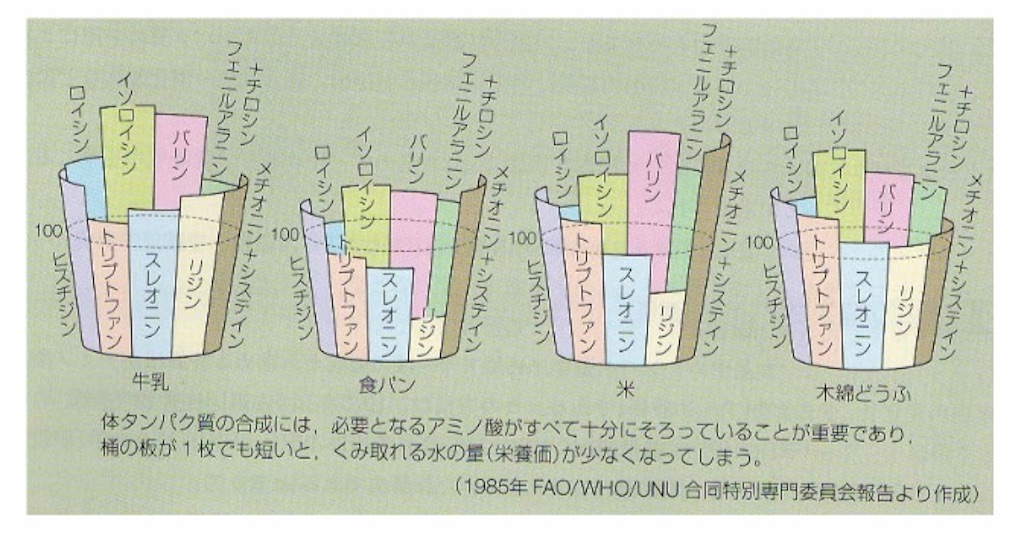 f:id:coco10101:20211110120614j:image