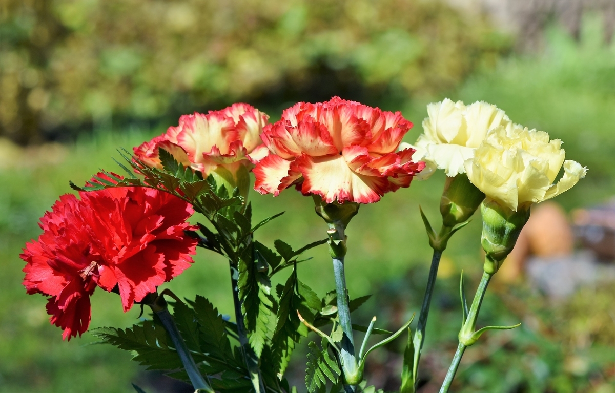 f:id:coco1999coco:20190422221512j:plain f:id:coco1999coco:20190422221512j:plain