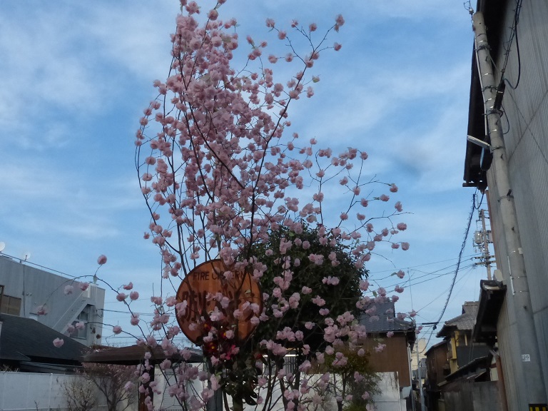 f:id:coco250:20180410153859j:plain f:id:coco250:20180410153859j:plain