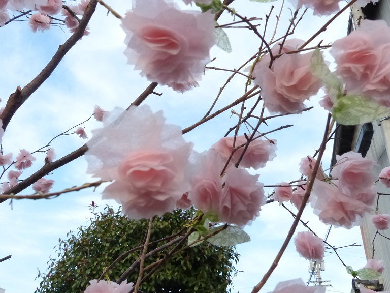 f:id:coco250:20180410153930j:plain f:id:coco250:20180410153930j:plain