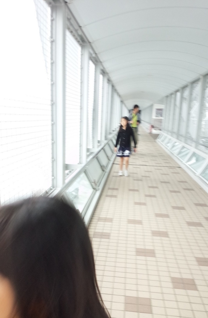 f:id:coco250:20180612161619j:plain f:id:coco250:20180612161619j:plain