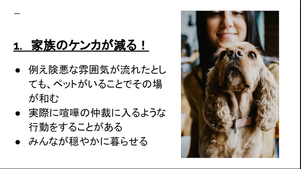 【ペットを飼うことのメリットとは？】17年越しのリベンジマッチでペットの良さについてプレゼンしてみる 矛盾留学生