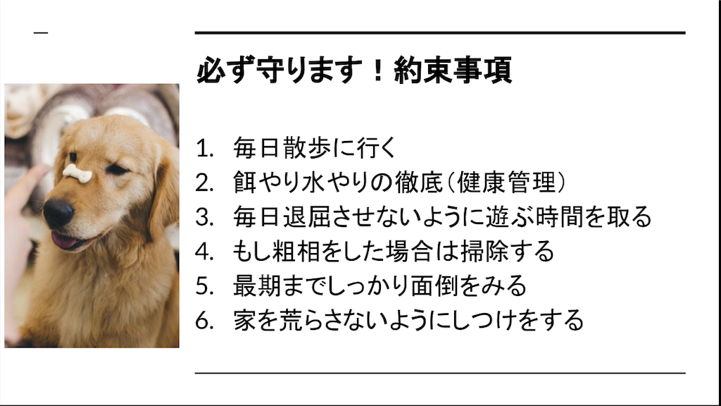 【ペットを飼うことのメリットとは？】17年越しのリベンジマッチでペットの良さについてプレゼンしてみる 矛盾留学生