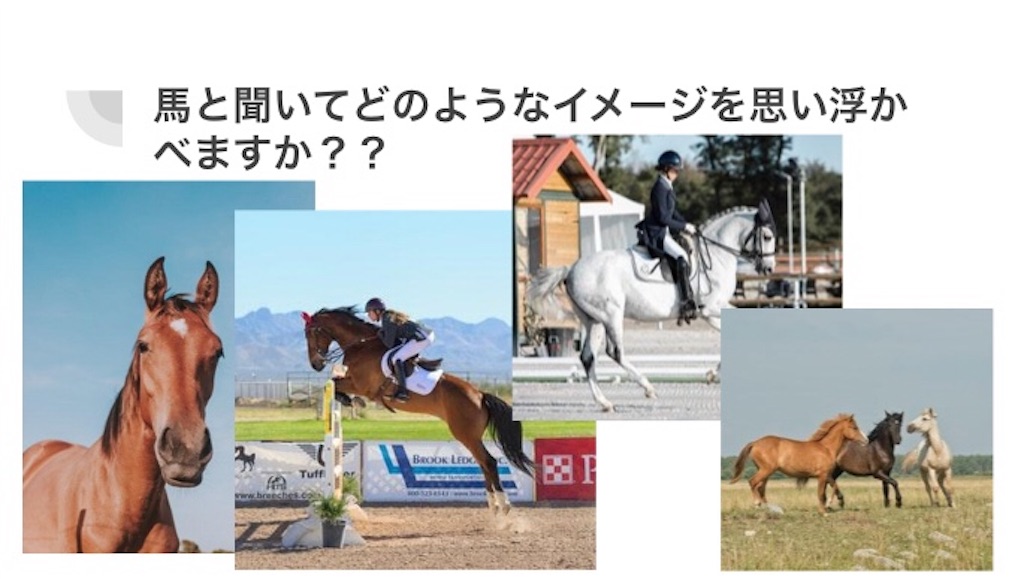 世界には何種類の馬がいますか?