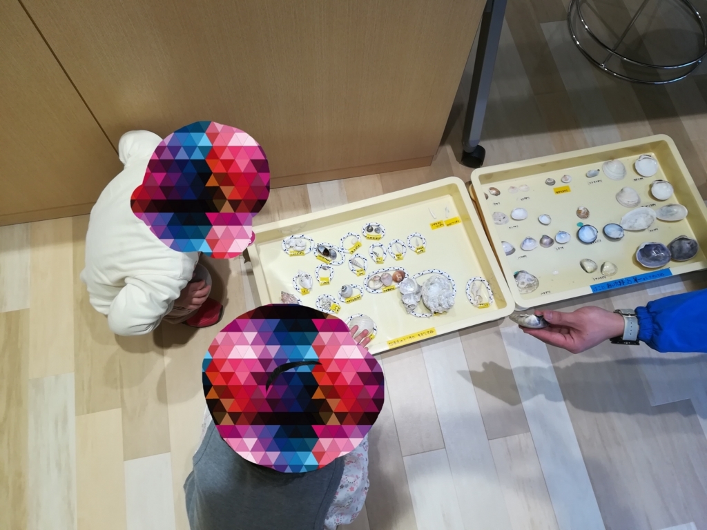 f:id:coco617:20180125223442j:plain f:id:coco617:20180125223442j:plain