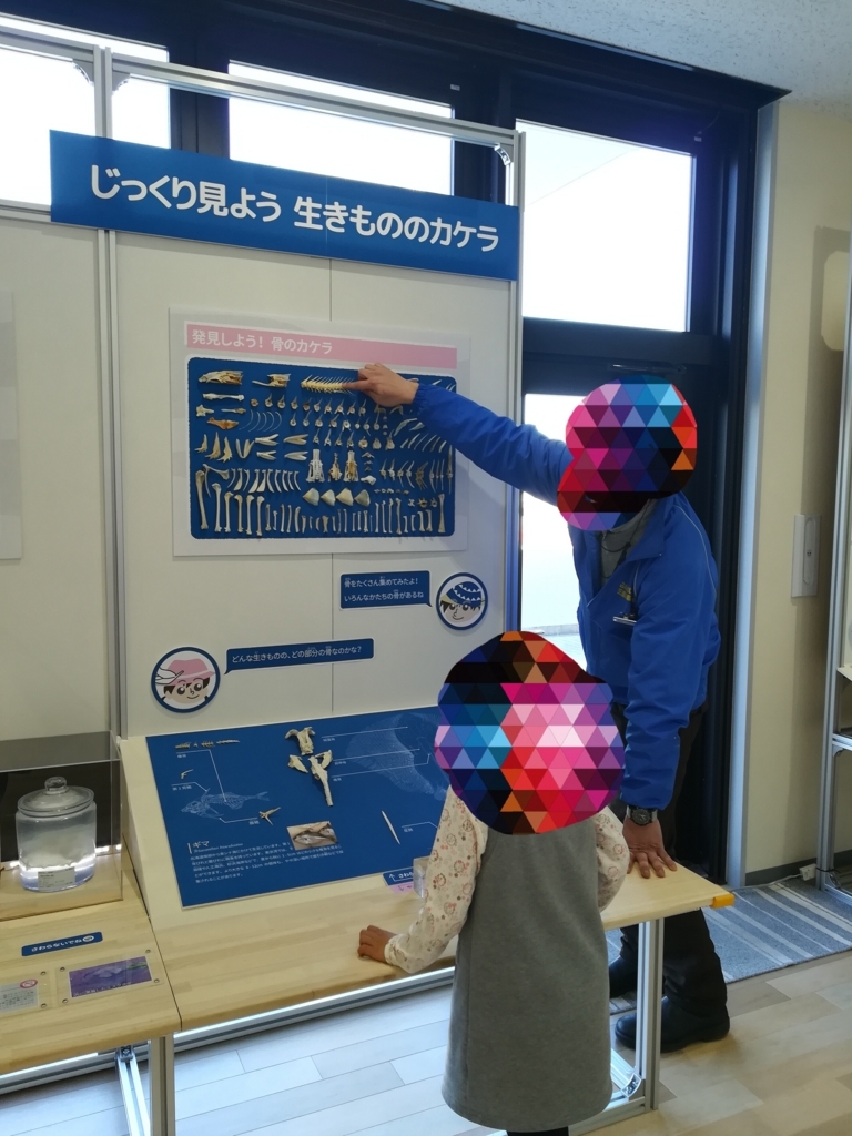 f:id:coco617:20180125225217j:plain f:id:coco617:20180125225217j:plain