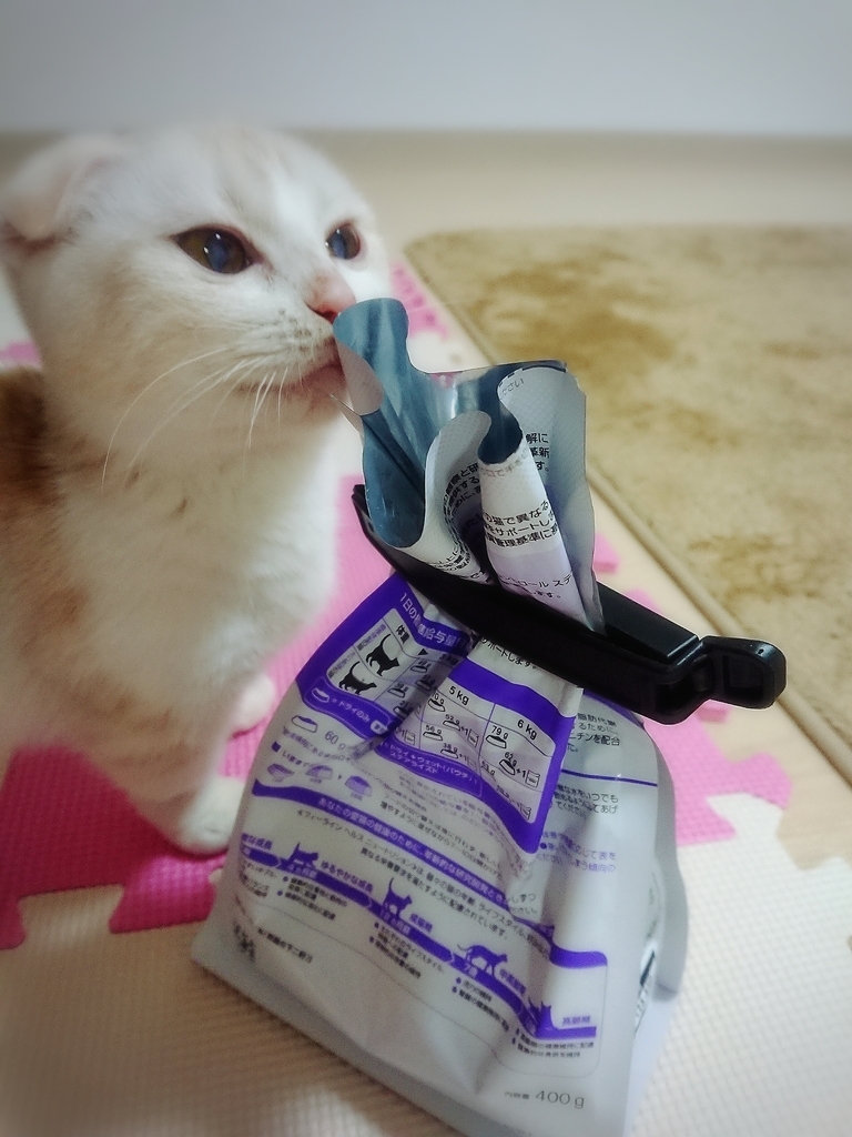 f:id:coco_mona1997:20190227024739j:plain