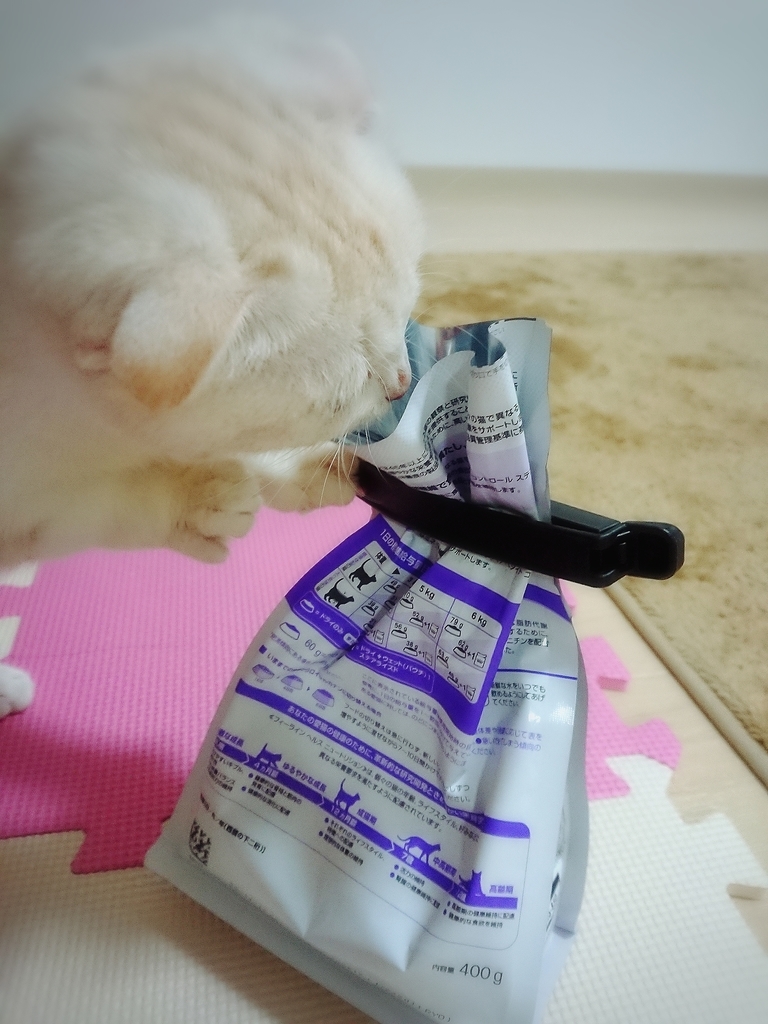 f:id:coco_mona1997:20190227024754j:plain