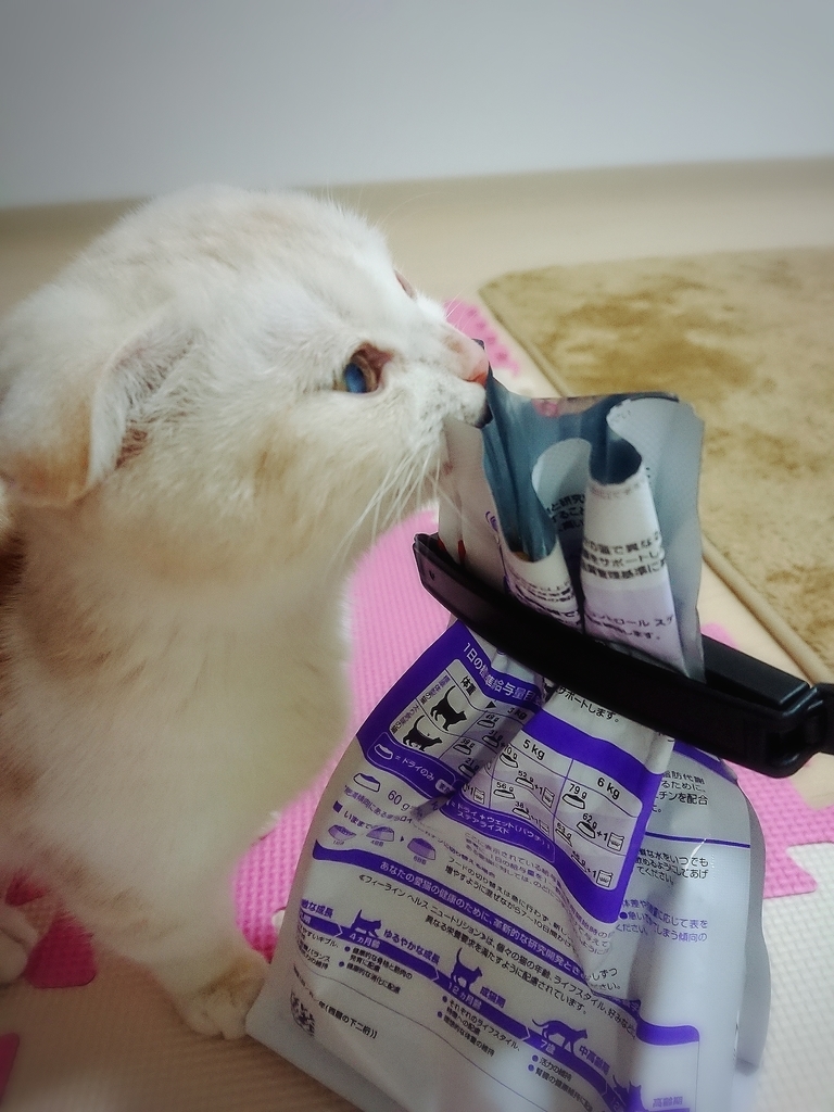 f:id:coco_mona1997:20190227024758j:plain