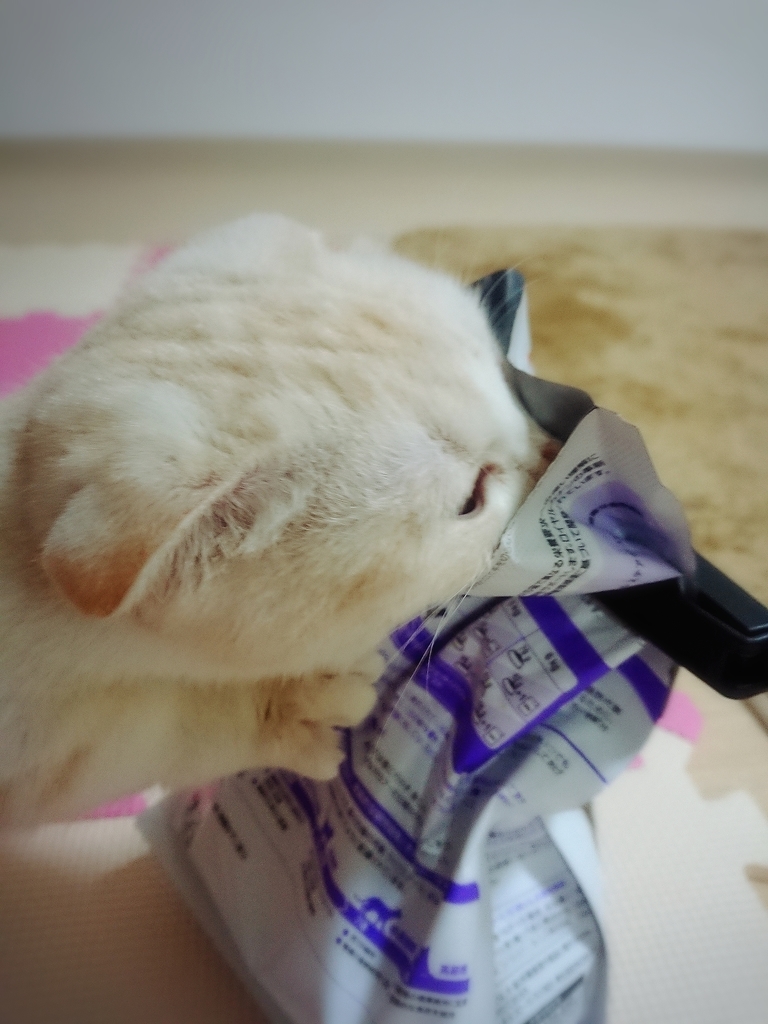 f:id:coco_mona1997:20190227024802j:plain