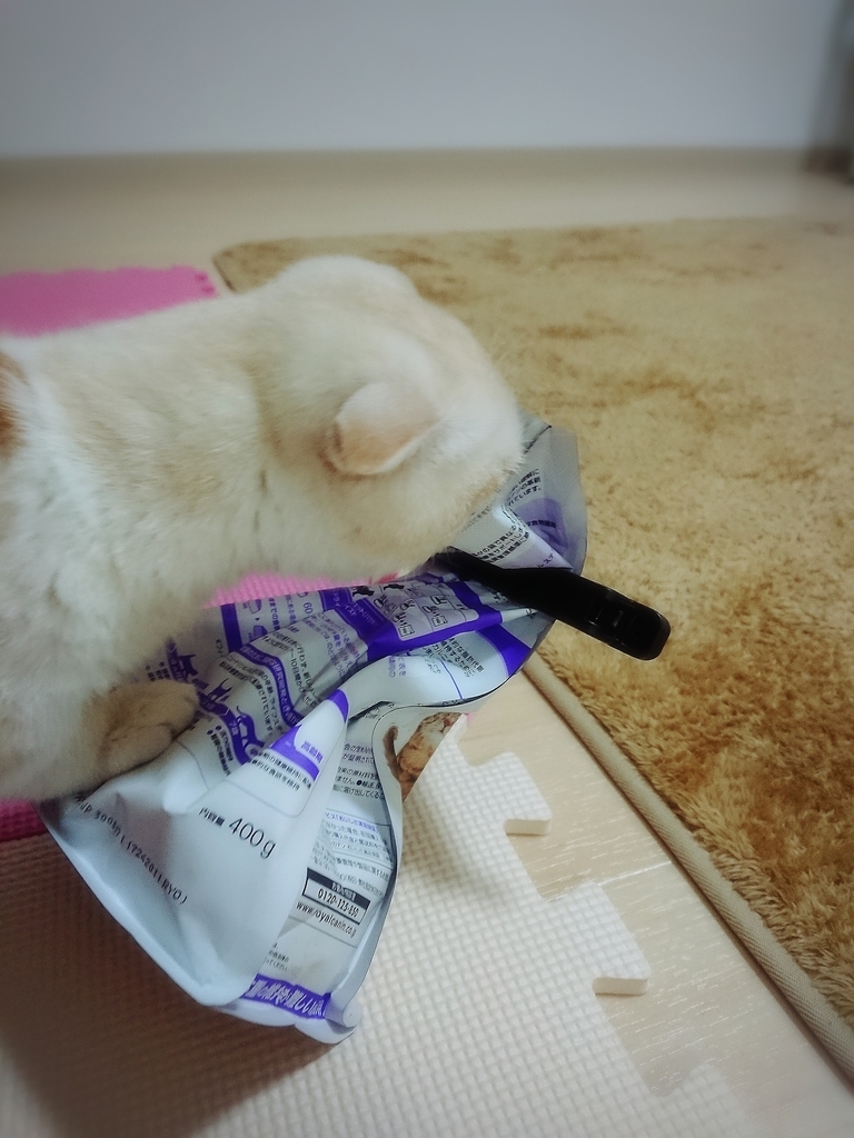 f:id:coco_mona1997:20190227024807j:plain