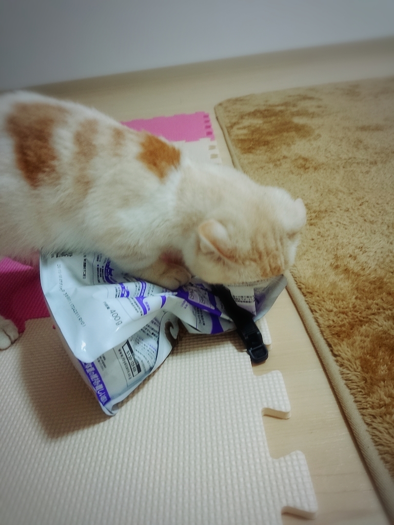 f:id:coco_mona1997:20190227024815j:plain