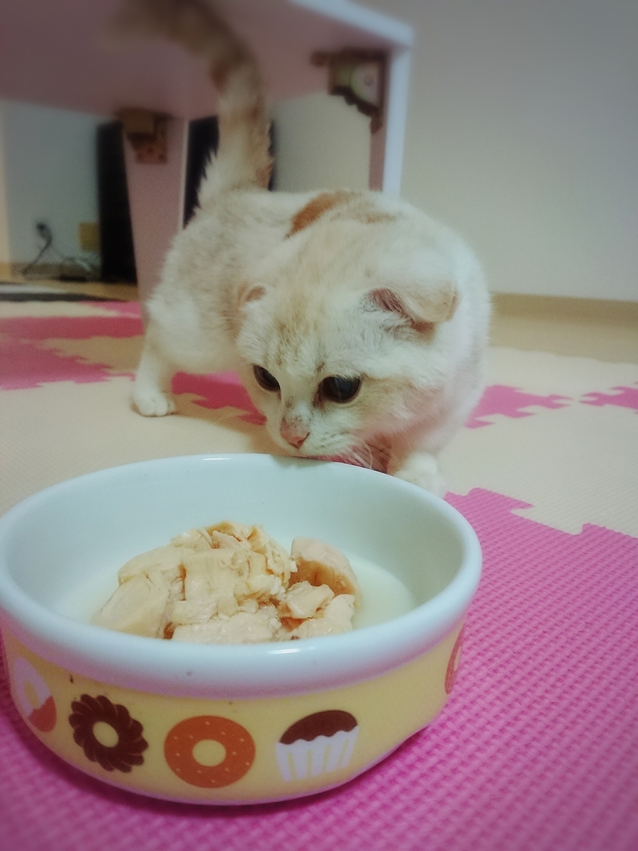 f:id:coco_mona1997:20190317030649j:plain