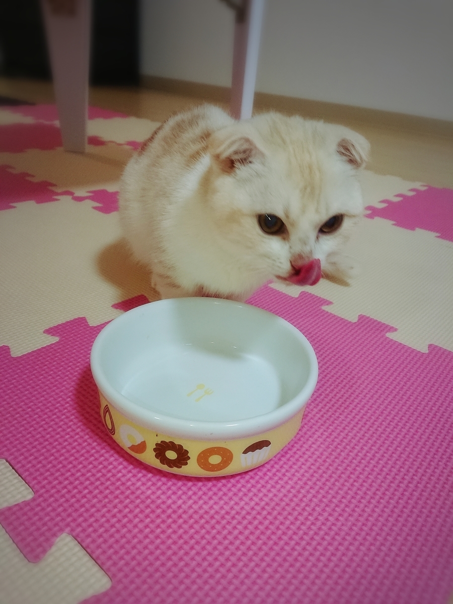 f:id:coco_mona1997:20190317030851j:plain