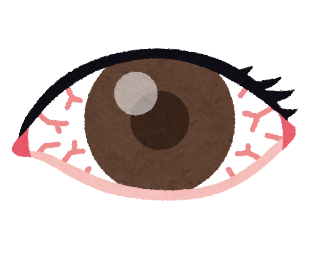 f:id:cocoaissweet:20181228192951p:plain