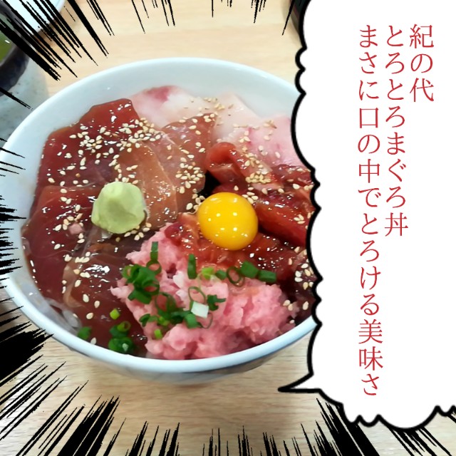 三崎口 紀の代 きのだい まぐろ切符で一番美味しいお店だと思う 老舗お寿司やさんのとろとろ丼 京急みさきまぐろきっぷ 猫olのマイルはじめて物語 三崎口 紀の代 きのだい まぐろ切符で一番美味しいお店だと思う 老舗お寿司やさんのとろとろ丼 京急みさきまぐろきっぷ 猫olのマイルはじめて物語