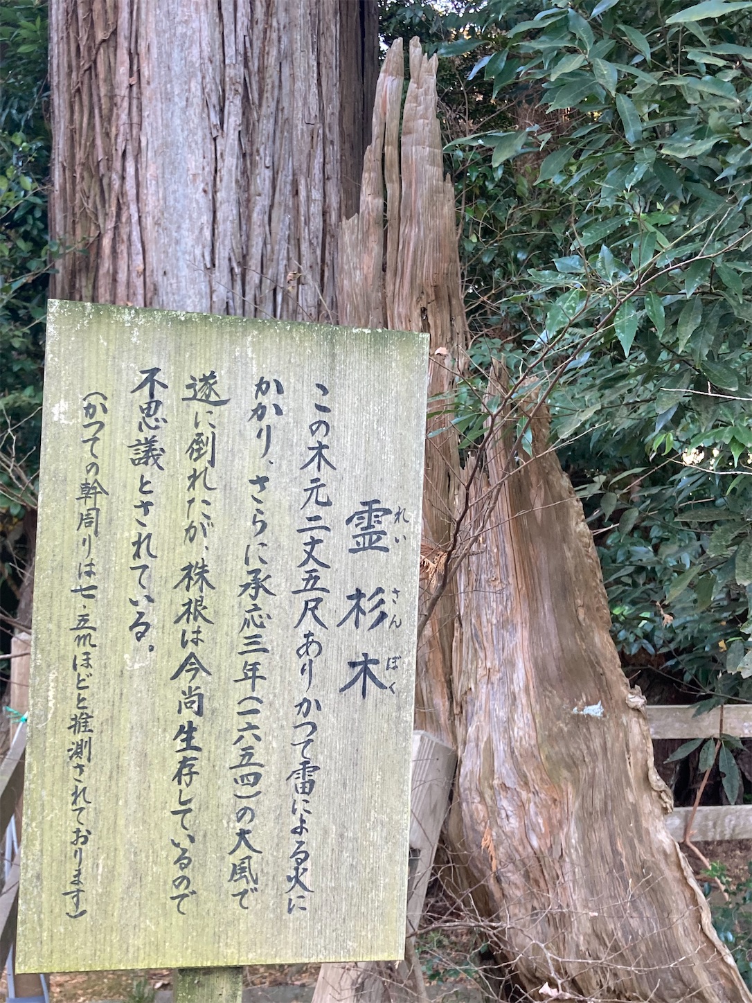 f:id:cocoamilks:20240104195210j:image