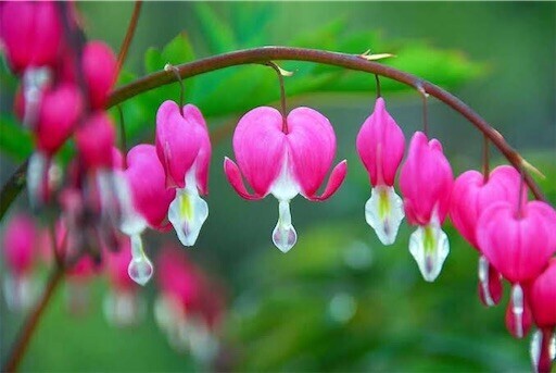 f:id:cocoanuts:20230430152121j:image