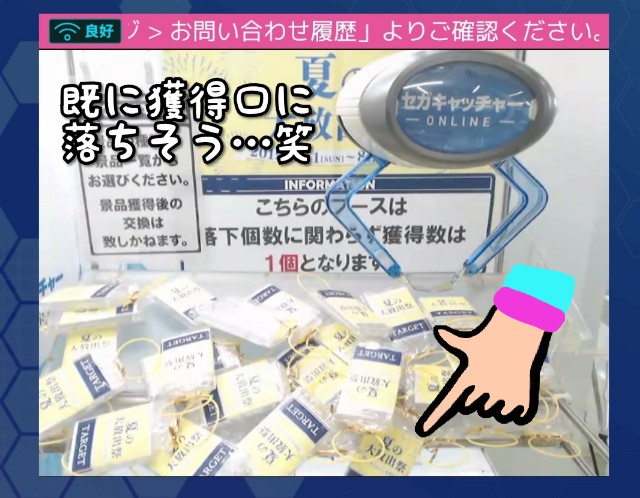 f:id:cocoaorei:20190820213123j:image f:id:cocoaorei:20190820213123j:image