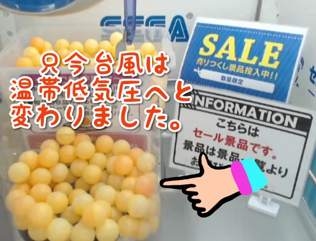 f:id:cocoaorei:20191124234811j:image f:id:cocoaorei:20191124234811j:image