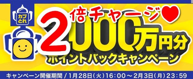 f:id:cocoaorei:20200128205252j:image f:id:cocoaorei:20200128205252j:image