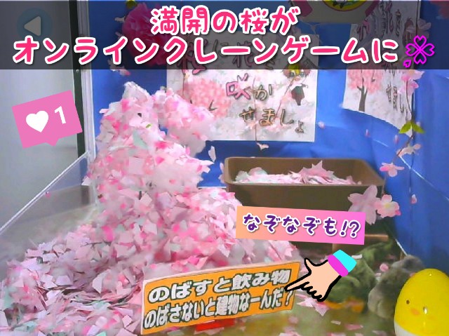 f:id:cocoaorei:20200326231801j:image f:id:cocoaorei:20200326231801j:image