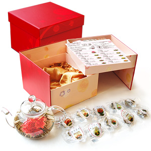 f:id:cocoaorei:20200506224735j:plain f:id:cocoaorei:20200506224735j:plain