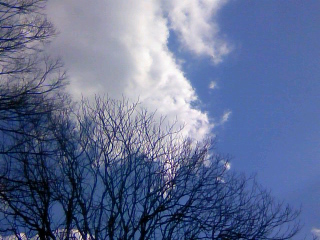 f:id:cocoaroma:20110131120100j:image