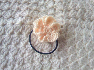 f:id:cocoaroma:20110202123942j:image