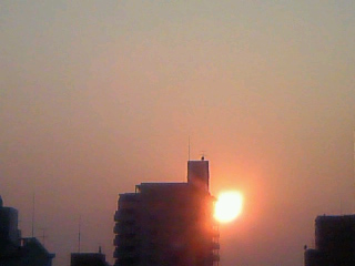 f:id:cocoaroma:20110204171811j:image
