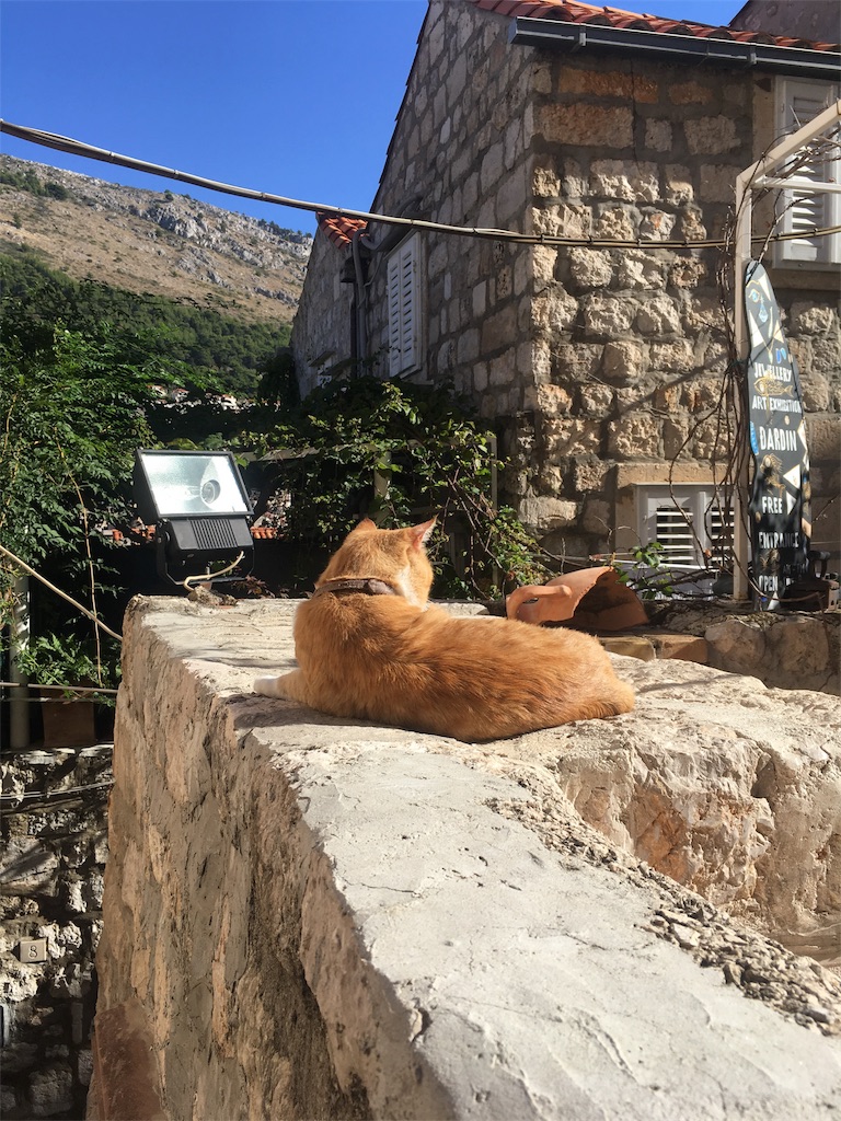 f:id:cocoavic:20180510222626j:image