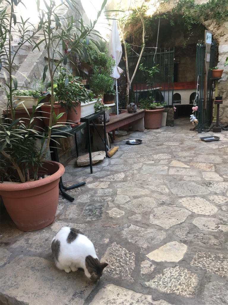 f:id:cocoavic:20180510223212j:image