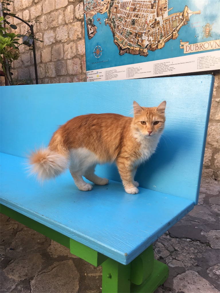 f:id:cocoavic:20180510223319j:image