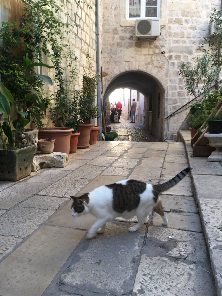 f:id:cocoavic:20180510223428j:image