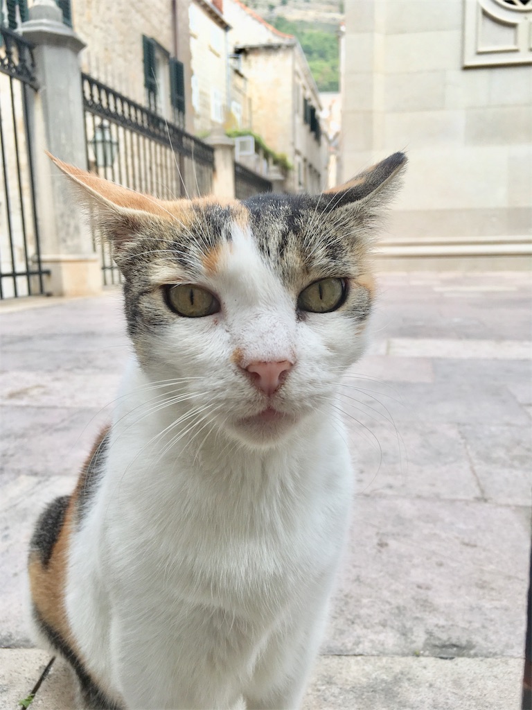 f:id:cocoavic:20180511225225j:image