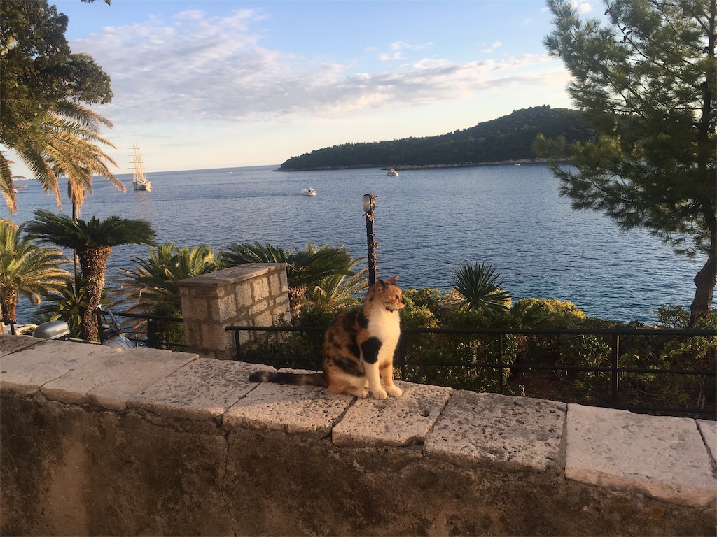 f:id:cocoavic:20180511231912j:image