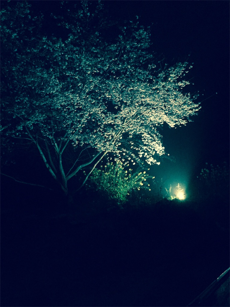 f:id:cococalacoco:20170412152915j:image
