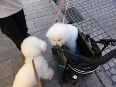 2010.10.8Motomachi